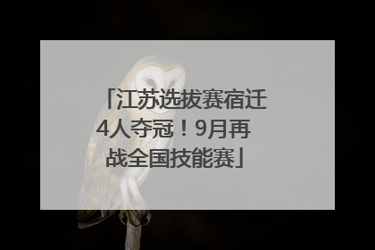 江苏选拔赛宿迁4人夺冠！9月再战全国技能赛