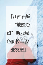 江西石城：“放蜂治蚜”助力绿色防控与农业发展