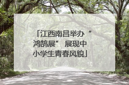 江西南昌举办“鸿鹄展” 展现中小学生青春风貌