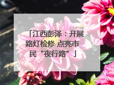 江西彭泽：开展路灯检修 点亮市民“夜行路”