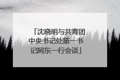 沈晓明与共青团中央书记处第一书记阿东一行会谈