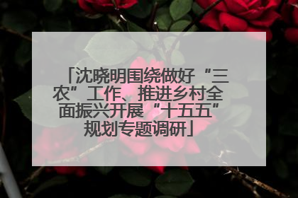 沈晓明围绕做好“三农”工作、推进乡村全面振兴开展“十五五”规划专题调研