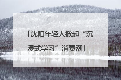 沈阳年轻人掀起“沉浸式学习”消费潮