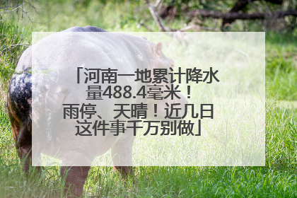 河南一地累计降水量488.4毫米！雨停、天晴！近几日这件事千万别做