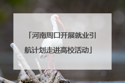 河南周口开展就业引航计划走进高校活动