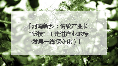 河南新乡：传统产业长“新枝”（走进产业地标·发展一线探变化）
