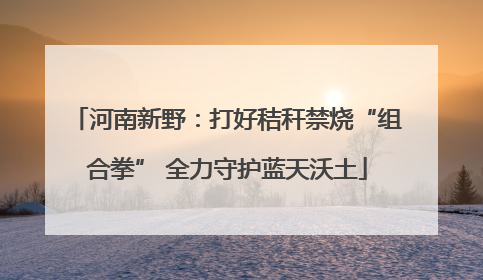 河南新野：打好秸秆禁烧“组合拳” 全力守护蓝天沃土