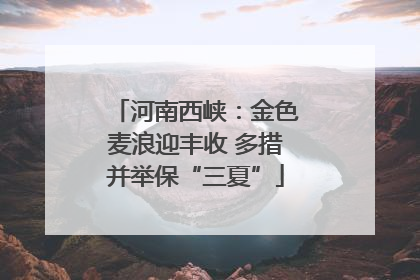 河南西峡：金色麦浪迎丰收 多措并举保“三夏”