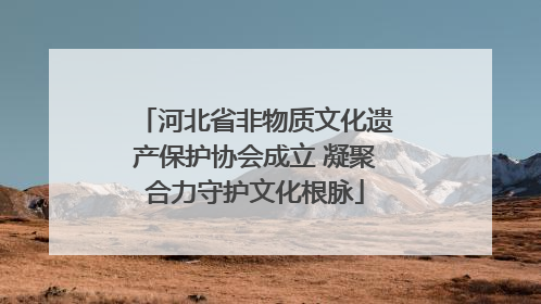 河北省非物质文化遗产保护协会成立 凝聚合力守护文化根脉