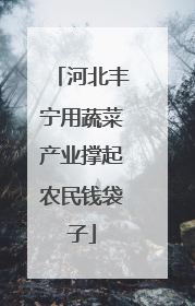 河北丰宁用蔬菜产业撑起农民钱袋子