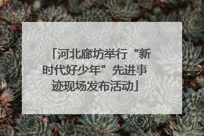 河北廊坊举行“新时代好少年”先进事迹现场发布活动