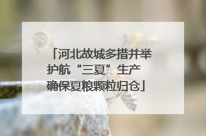 河北故城多措并举护航“三夏”生产 确保夏粮颗粒归仓
