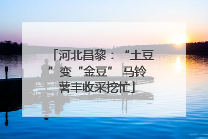 河北昌黎：“土豆”变“金豆” 马铃薯丰收采挖忙