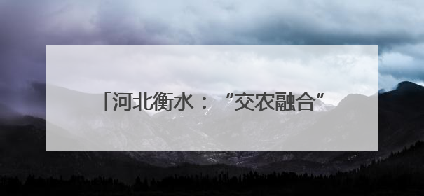 河北衡水：“交农融合”为乡村振兴注入新活力