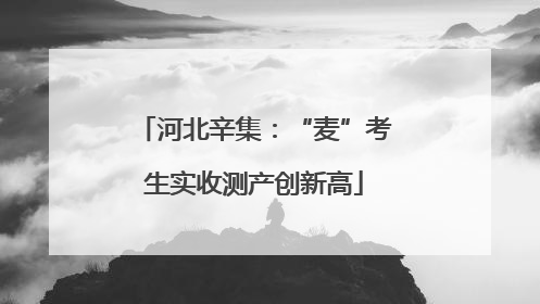 河北辛集：“麦”考生实收测产创新高