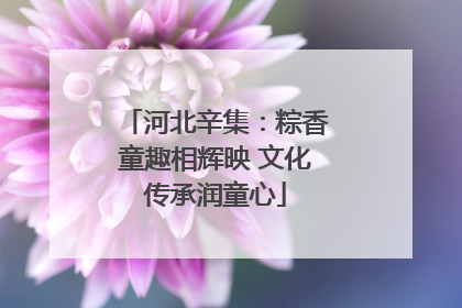 河北辛集：粽香童趣相辉映 文化传承润童心