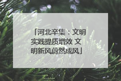 河北辛集：文明实践提质增效 文明新风蔚然成风