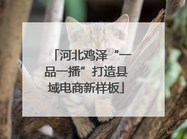 河北鸡泽“一品一播”打造县域电商新样板