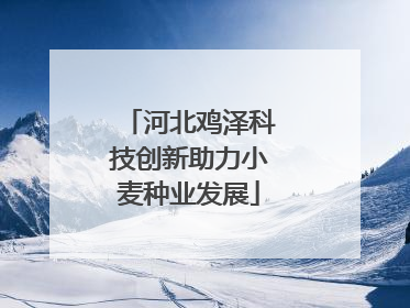 河北鸡泽科技创新助力小麦种业发展