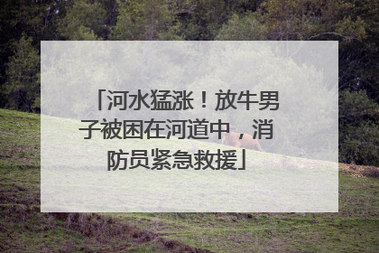 河水猛涨！放牛男子被困在河道中，消防员紧急救援