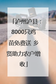 泸州泸县：8000只鸡苗免费送 乡贤助力农户增收