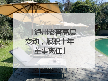 泸州老窖高层变动，履职十年董事离任