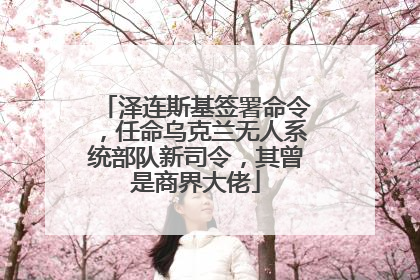 泽连斯基签署命令，任命乌克兰无人系统部队新司令，其曾是商界大佬