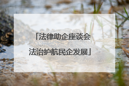 法律助企座谈会 法治护航民企发展