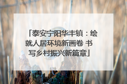 泰安宁阳华丰镇：绘就人居环境新画卷 书写乡村振兴新篇章