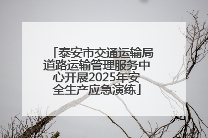泰安市交通运输局道路运输管理服务中心开展2025年安全生产应急演练