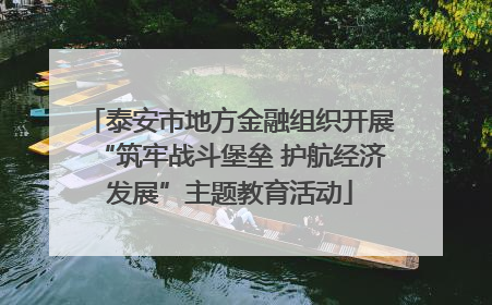泰安市地方金融组织开展“筑牢战斗堡垒 护航经济发展”主题教育活动
