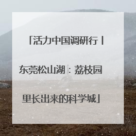 活力中国调研行丨东莞松山湖：荔枝园里长出来的科学城
