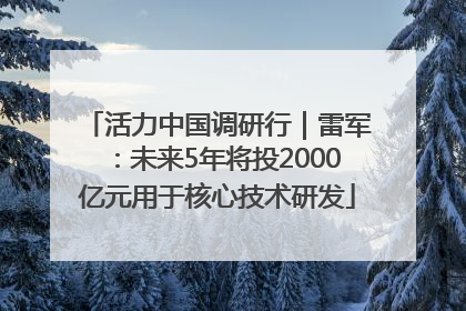活力中国调研行｜雷军：未来5年将投2000亿元用于核心技术研发