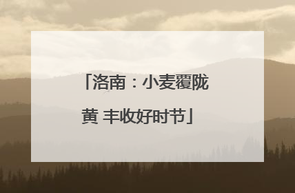 洛南：小麦覆陇黄 丰收好时节