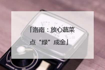 洛南：放心蔬菜点“绿”成金