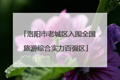 洛阳市老城区入围全国旅游综合实力百强区