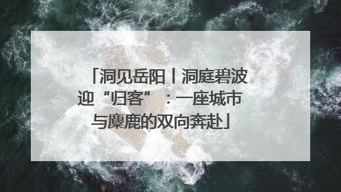 洞见岳阳丨洞庭碧波迎“归客”：一座城市与麋鹿的双向奔赴