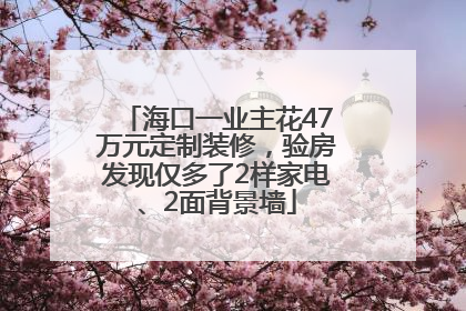 海口一业主花47万元定制装修，验房发现仅多了2样家电、2面背景墙