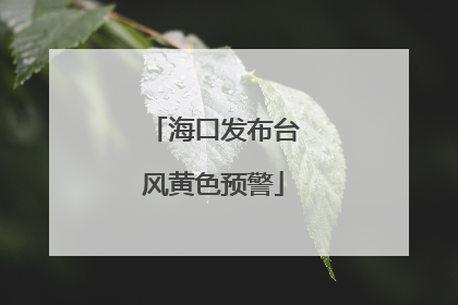 海口发布台风黄色预警