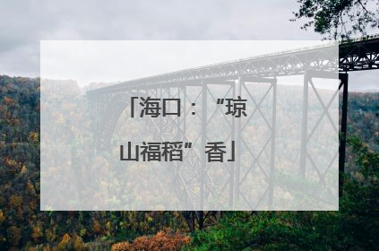 海口：“琼山福稻”香