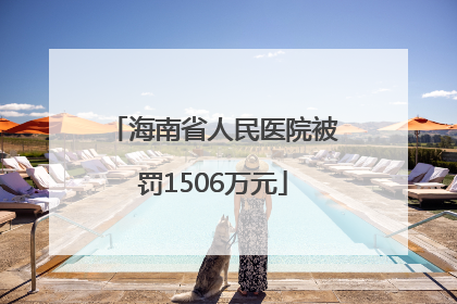 海南省人民医院被罚1506万元