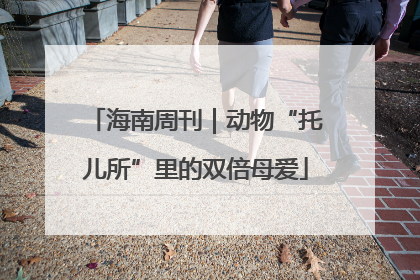 海南周刊｜动物“托儿所”里的双倍母爱