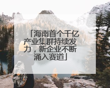 海南首个千亿产业集群持续发力，新企业不断涌入赛道