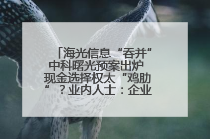 海光信息“吞并”中科曙光预案出炉 现金选择权太“鸡肋”？业内人士：企业不想大量现金流出