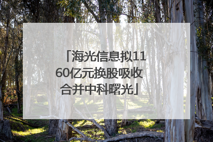 海光信息拟1160亿元换股吸收合并中科曙光