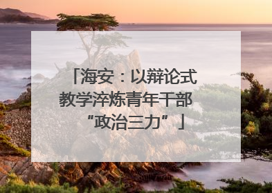 海安：以辩论式教学淬炼青年干部“政治三力”