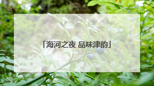 海河之夜 品味津韵
