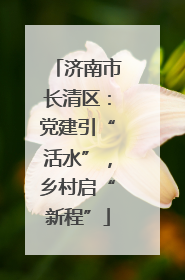 济南市长清区：党建引“活水”，乡村启“新程”