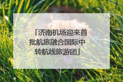 济南机场迎来首批航旅融合国际中转航线旅游团