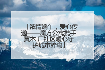 浓情端午，爱心传递——魔方公寓携手黄木 厂社区暖心守护城市蜂鸟